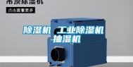除湿机 工业除湿机 抽湿机