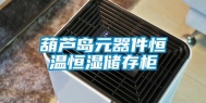 葫芦岛元器件恒温恒湿储存柜