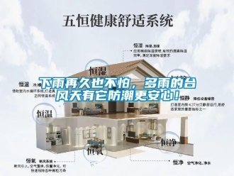 常见问题下雨再久也不怕，多雨的台风天有它防潮更安心！