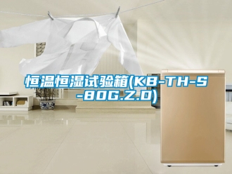 知识百科恒温恒湿试验箱(KB-TH-S-80G.Z.D)