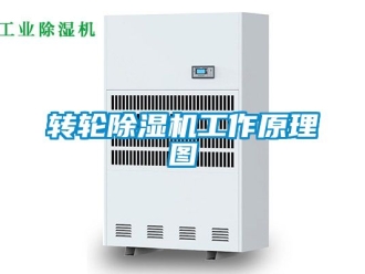 常见问题转轮除湿机工作原理图