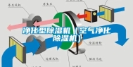 净化型除湿机（空气净化除湿机）
