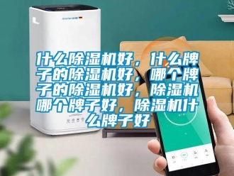 行业新闻什么除湿机好，什么牌子的除湿机好，哪个牌子的除湿机好，除湿机哪个牌子好，除湿机什么牌子好