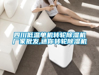 企业新闻四川低温单机转轮除湿机厂家批发,迷你转轮除湿机