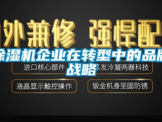 企业新闻除湿机企业在转型中的品牌战略