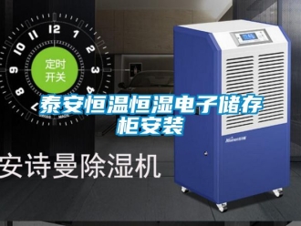 知识百科泰安恒温恒湿电子储存柜安装