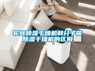 行业新闻轮转除湿干燥机和分子筛除湿干燥机的区别