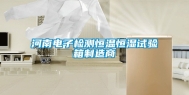 河南电子检测恒温恒湿试验箱制造商