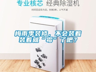 行业新闻梅雨季装修，不会装着装着就“霉”了吧？