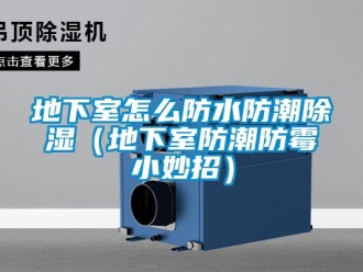 企业新闻地下室怎么防水防潮除湿（地下室防潮防霉小妙招）