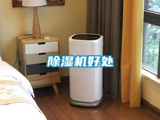 常见问题除湿机好处