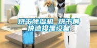 烘干除湿机 烘干房快速排湿设备