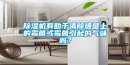 除湿机有助于清除墙壁上的霉菌或霉菌引起的气味吗？