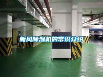 知识百科新风除湿机的常识介绍