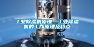 工业除湿机原理—工业除湿机的工作原理及特点