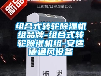常见问题组合式转轮除湿机组品牌-组合式转轮除湿机组-安适德通风设备