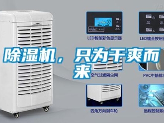 常见问题除湿机，只为干爽而来