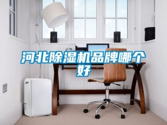 企业新闻河北除湿机品牌哪个好