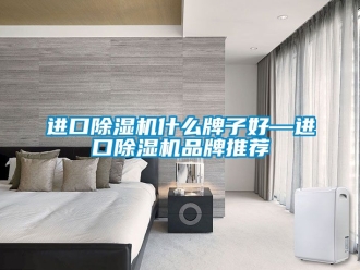 企业新闻进口除湿机什么牌子好—进口除湿机品牌推荐
