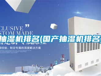 企业新闻抽湿机排名(国产抽湿机排名)
