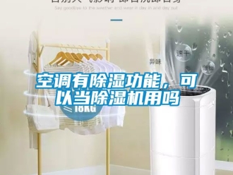 行业新闻空调有除湿功能，可以当除湿机用吗