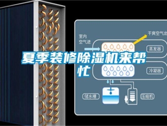 知识百科夏季装修除湿机来帮忙