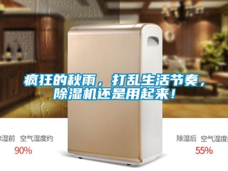 企业新闻疯狂的秋雨，打乱生活节奏，除湿机还是用起来！