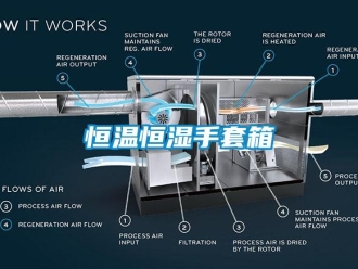 知识百科恒温恒湿手套箱