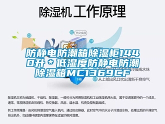 常见问题防静电防潮箱除湿柜1440升＊低湿度防静电防潮除湿箱MC1369CF