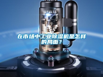 常见问题在市场中工业除湿机是怎样的局面？