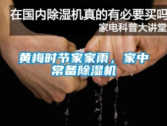 行业新闻黄梅时节家家雨，家中常备除湿机