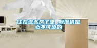 住在这些房子里 除湿机是必不可少的