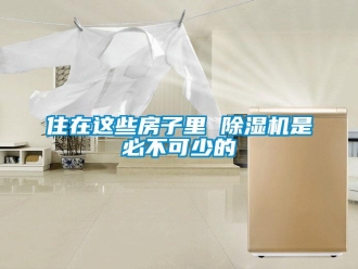 知识百科住在这些房子里 除湿机是必不可少的