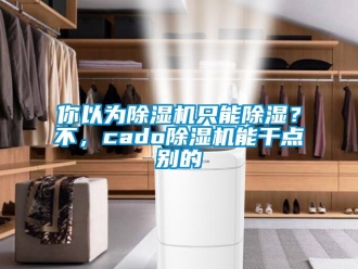 行业新闻你以为除湿机只能除湿？不，cado除湿机能干点别的