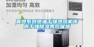 直燃系列燃油干燥热风机库房干燥除湿售后保障