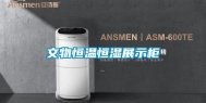 文物恒温恒湿展示柜