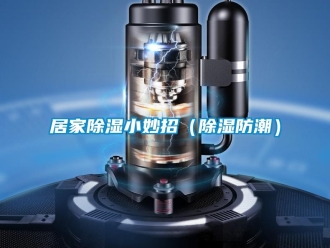 常见问题居家除湿小妙招（除湿防潮）