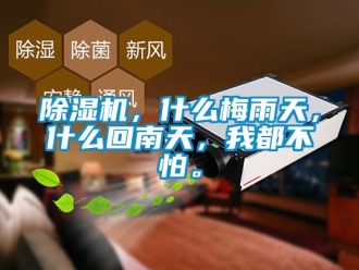 企业新闻除湿机，什么梅雨天，什么回南天，我都不怕。