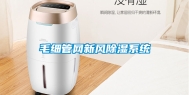 毛细管网新风除湿系统
