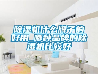 企业新闻除湿机什么牌子的好用_哪种品牌的除湿机比较好