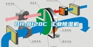 DH-8120C 工业除湿机