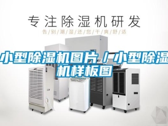 行业新闻小型除湿机图片／小型除湿机样板图