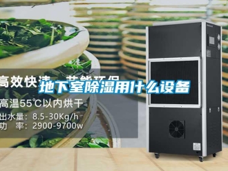 企业新闻地下室除湿用什么设备