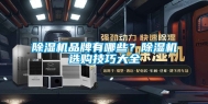 除湿机品牌有哪些？除湿机选购技巧大全