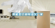 智能型工业除湿仪厂家