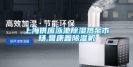 上海供应泳池除湿热泵市场,誉康鑫除湿机
