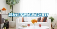 荔枝烘干用除湿机效果好