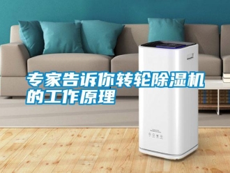 知识百科专家告诉你转轮除湿机的工作原理