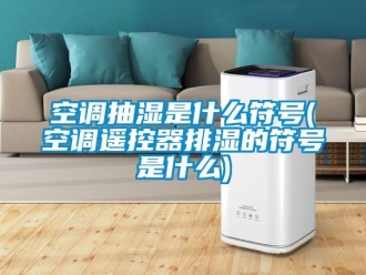 企业新闻空调抽湿是什么符号(空调遥控器排湿的符号是什么)