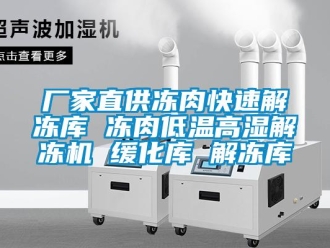 常见问题厂家直供冻肉快速解冻库 冻肉低温高湿解冻机 缓化库 解冻库